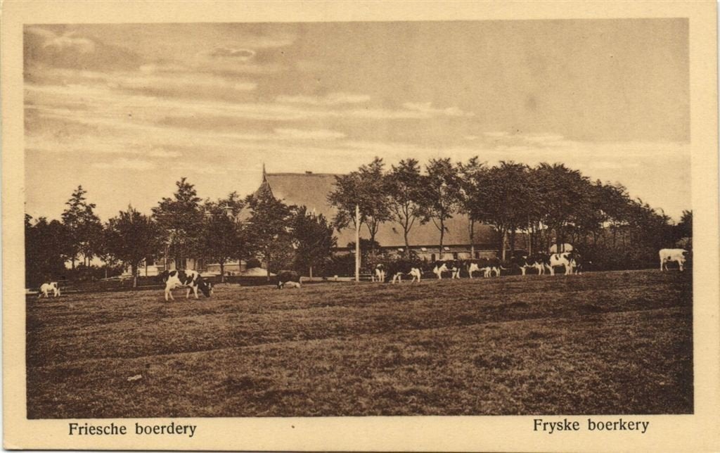 Friesche boerdery - Fryske boerkery - koeien - ongelopen, Verzenden, 1920 tot 1940, Ongelopen, Noord-Brabant