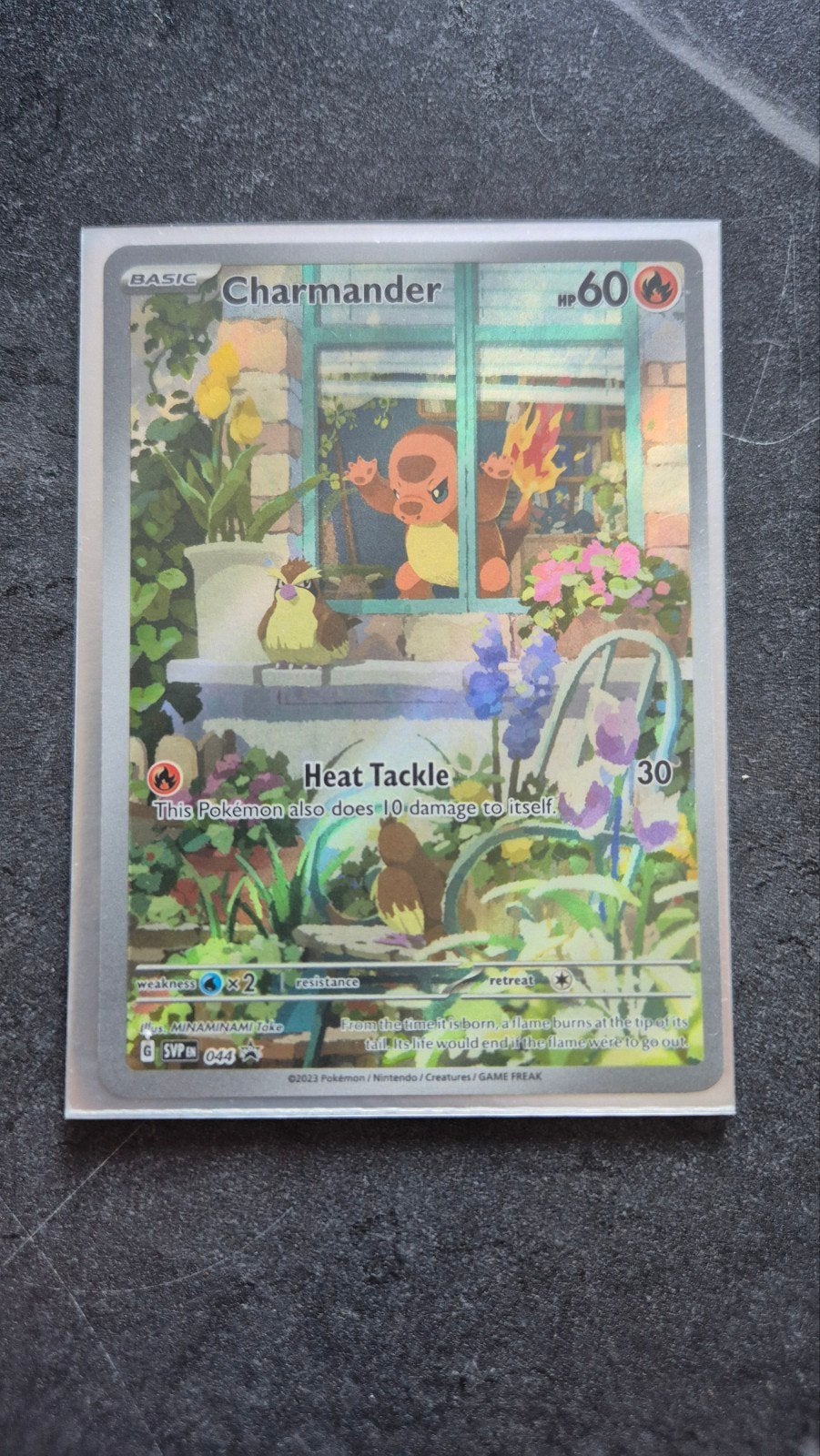 Charmander Pokémon Kaart - SVP 044 Promo, Ophalen of Verzenden, Nieuw, Losse kaart