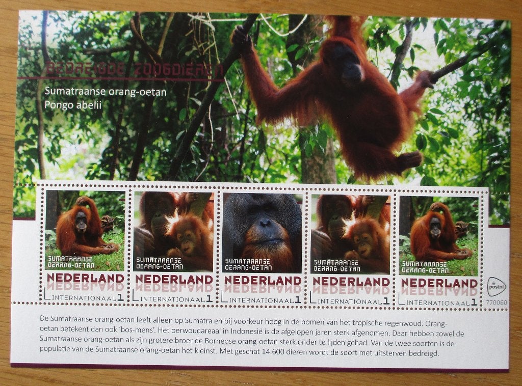 Nederland, velletje Orang-oetan, (Internationaal 1 zegels), Verzenden, Postfris, Dier of Natuur