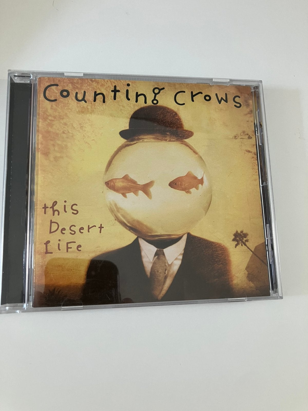 Counting Crows - This Desert Life, Ophalen of Verzenden, Zo goed als nieuw