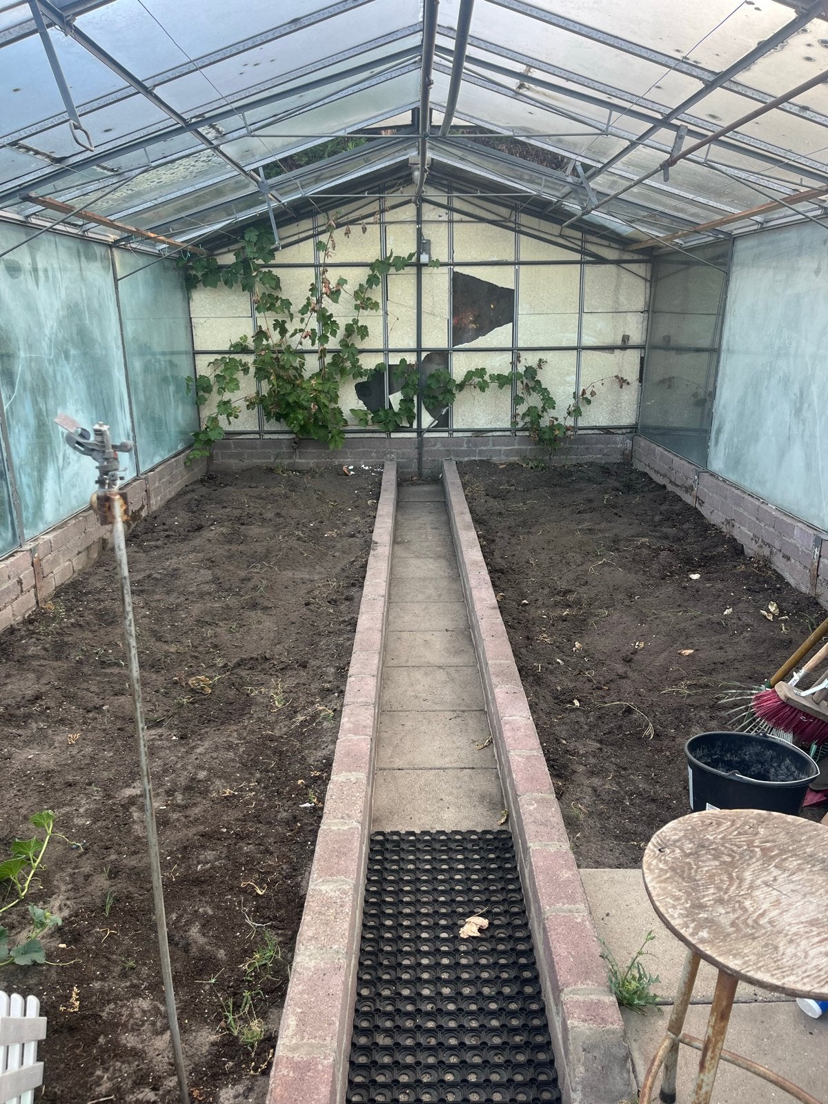 Ruime kas (7x4m) met potentieel - glasvervanging nodig, Ophalen, Gebruikt, Kweekkas, Glas