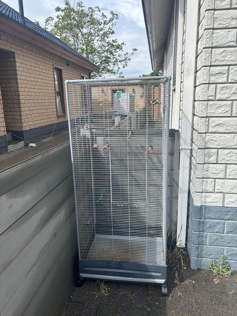 Mooie vogelkooi voor parakiet en zonparakiet, Verzenden, Zo goed als nieuw, Hout, Vogelkooi