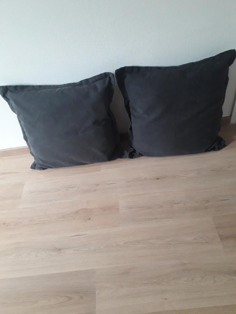 Te koop 2 kussens, Ophalen of Verzenden, Vierkant