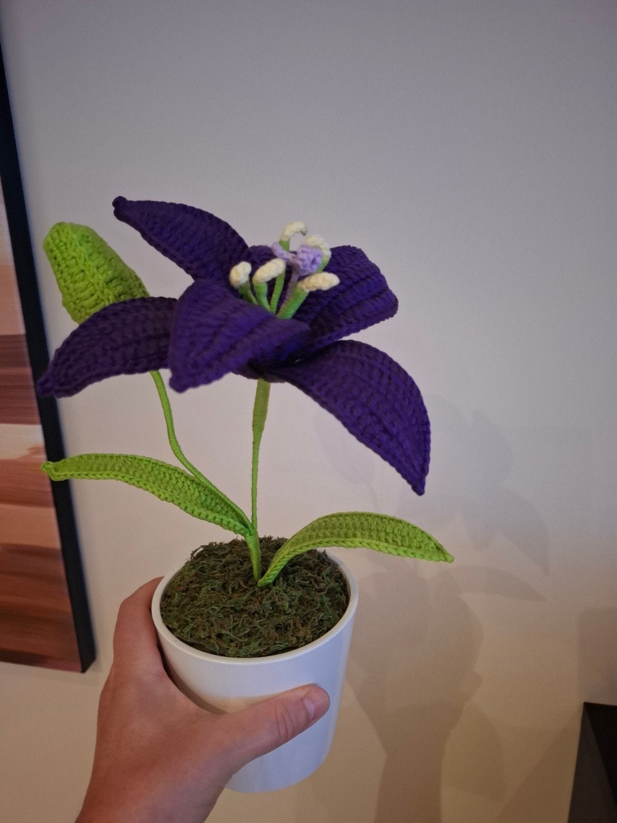 Uniek & Duurzaam Cadeau: Handgemaakte Gehaakte Bloemen, Ophalen of Verzenden, Nieuw, Haken, Overige typen