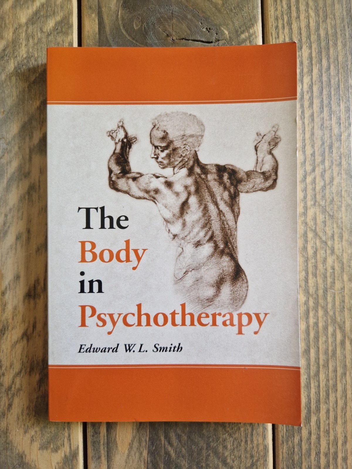 The Body in Psychotherapy - Edward W.L. Smith, Boeken, Ophalen of Verzenden, Zo goed als nieuw, Klinische psychologie, Edward W.L. Smith
