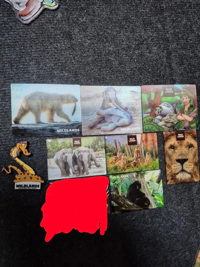 8 wildlands magneten dierentuin, Ophalen of Verzenden, Beeldje of Figuurtje