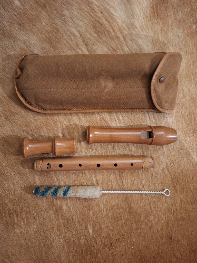 Altfluit, Ophalen of Verzenden, Gebruikt, Alt, Met koffer, hoes of etui