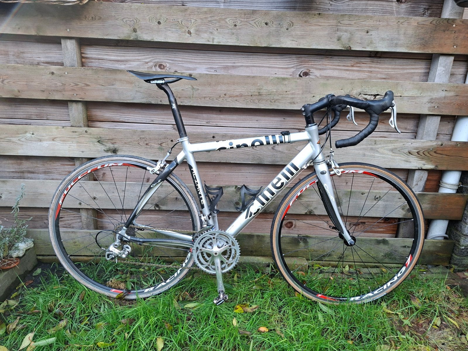 cinelli aliante s/m, Fietsen en Brommers, Gebruikt, Carbon, Meer dan 20 versnellingen, 53 tot 57 cm
