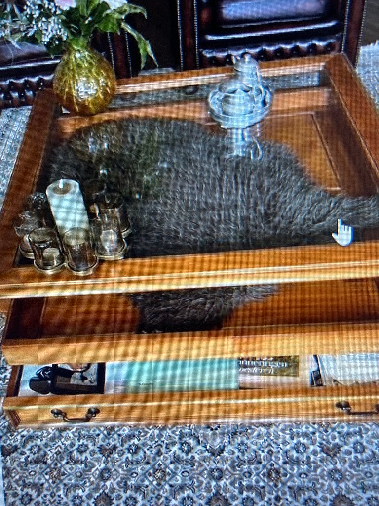 salontafel, Ophalen, Gebruikt, Klassiek, Vierkant
