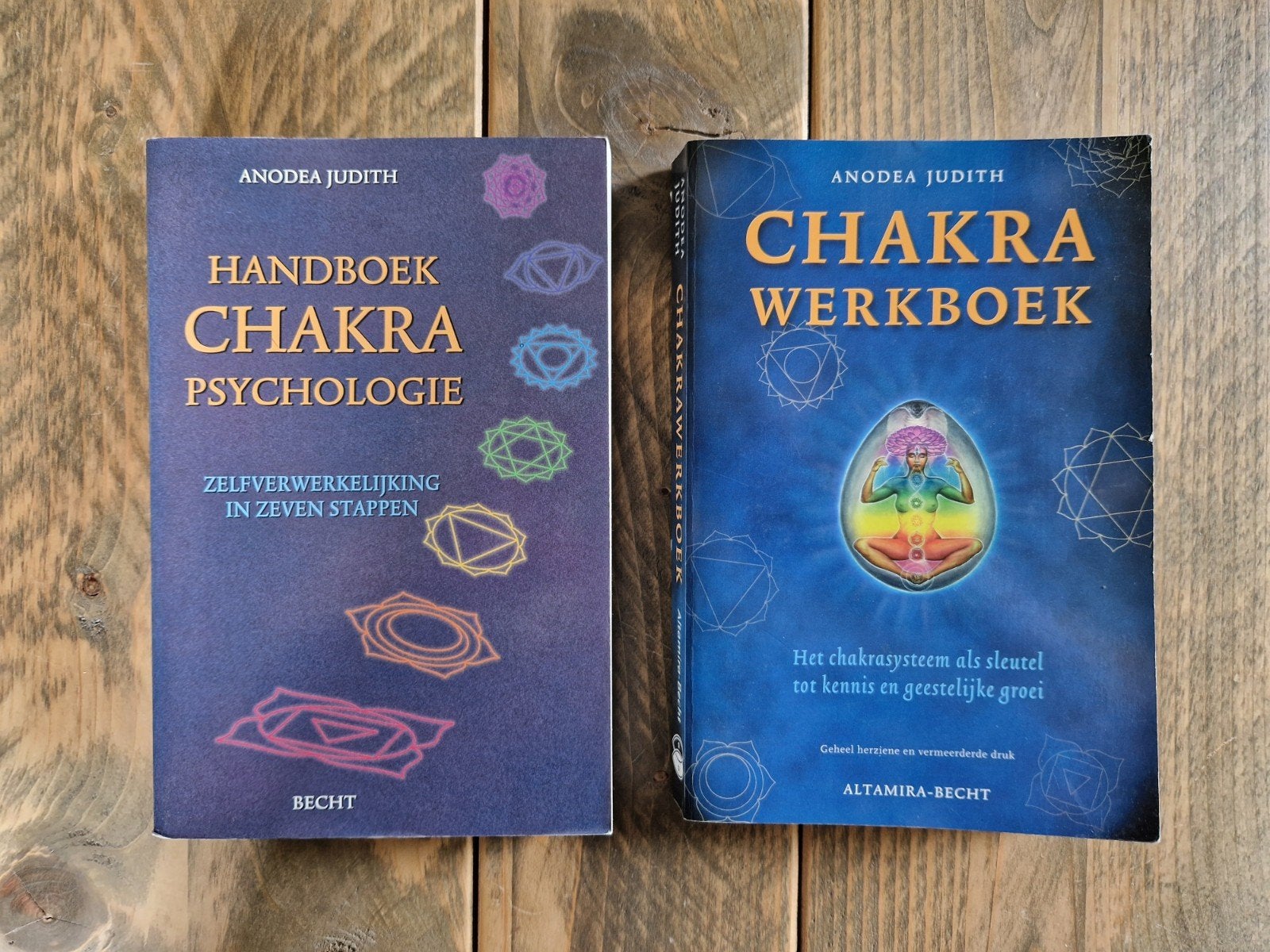Handboek Chakra Psychologie & Werkboek - Anodea Judith, Gelezen, Achtergrond en Informatie, Spiritualiteit algemeen, Ophalen of Verzenden