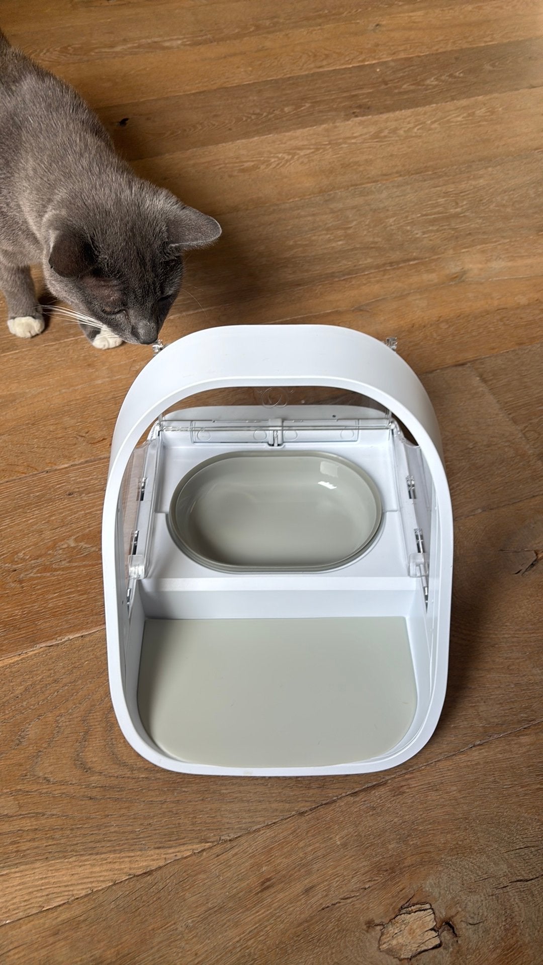 Surefeed Microchip Petfeeder Voerbak - Kattenvoerbak - Wit, Dieren en Toebehoren, Kattenvoerbakken en Drinkbakken, Ophalen of Verzenden