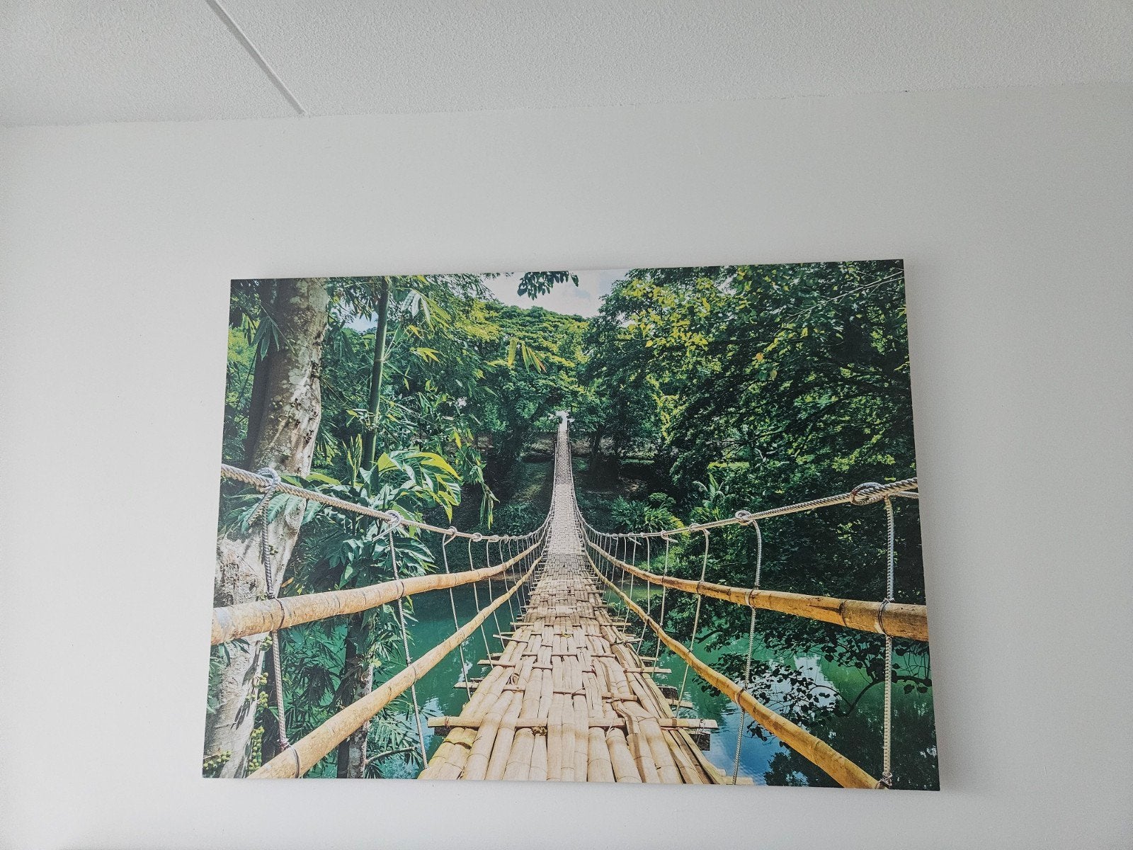 Canvas Jungle Loopbrug, Ophalen, Landschap