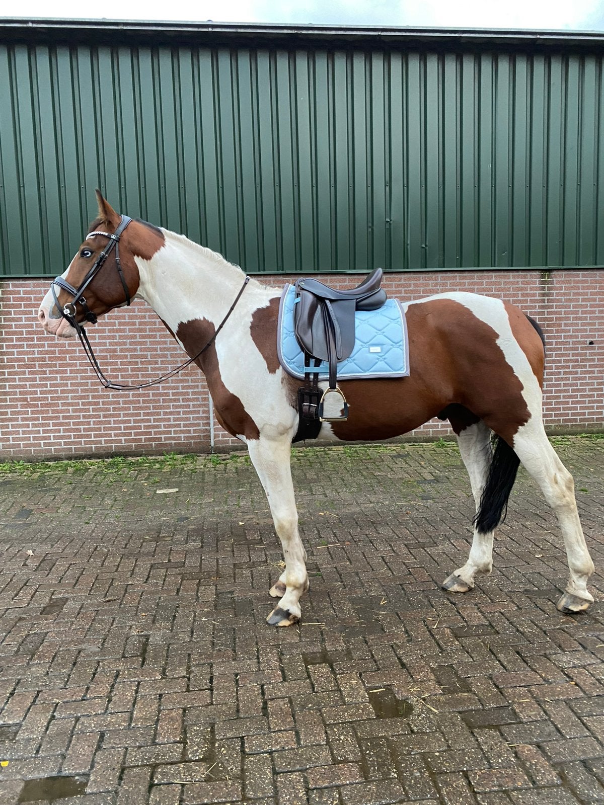 Equestrian Stockholm ice blue full, Ophalen of Verzenden, Zo goed als nieuw