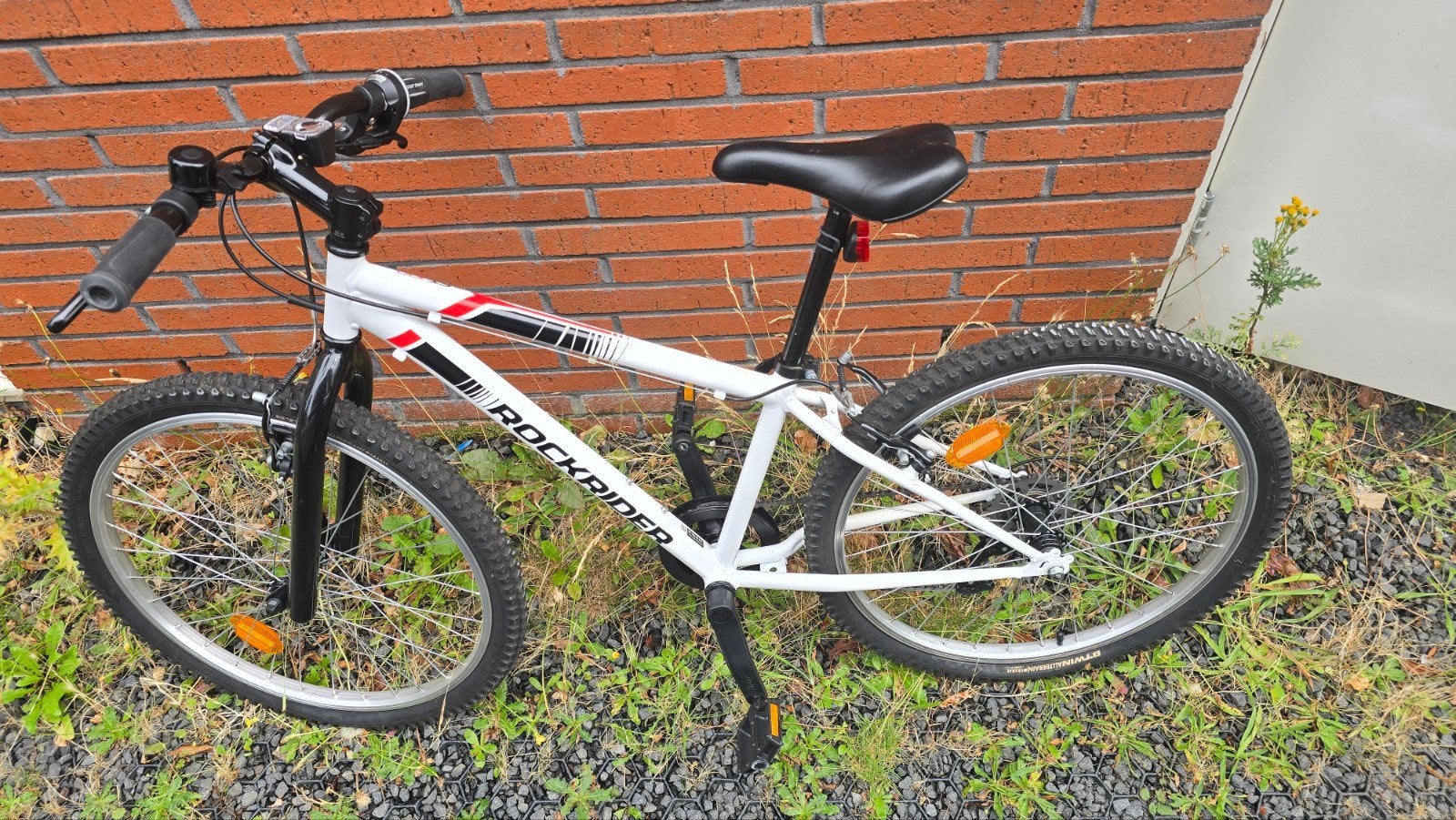 Jonge fiets., Ophalen, Staal