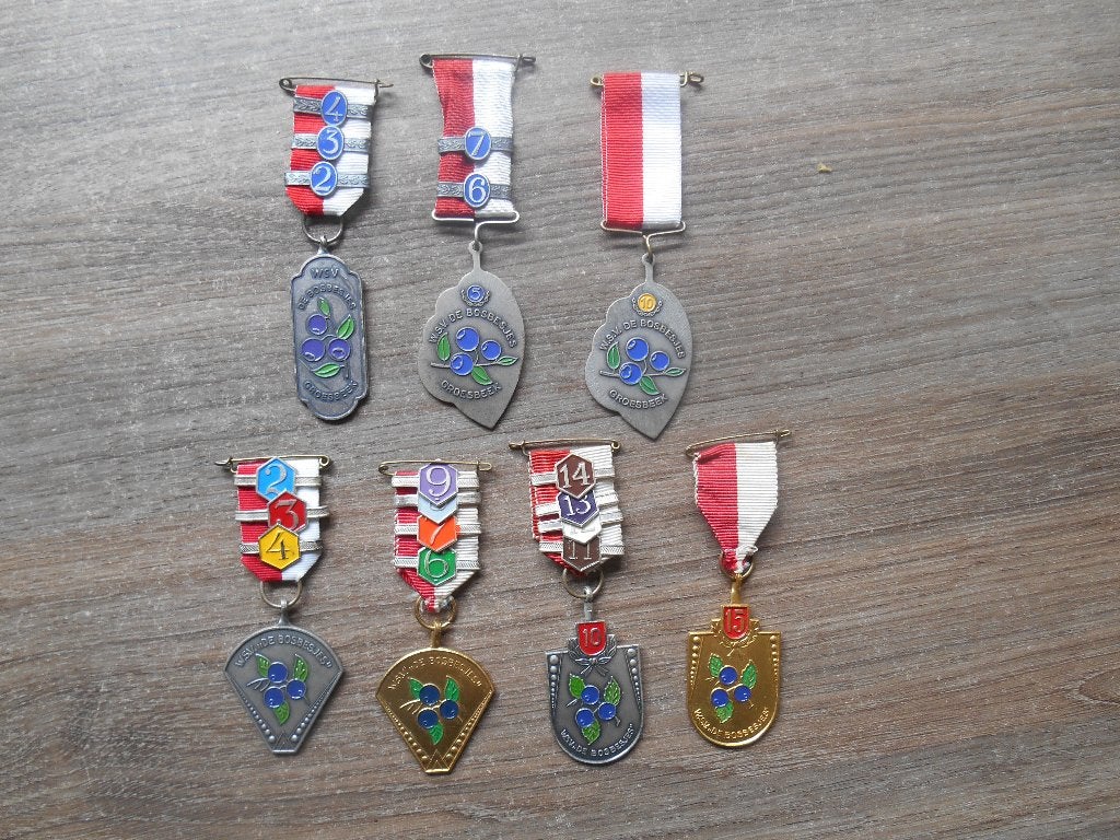 Medailleset W.S.V. De Bosbesjes Groesbeek medailles, Ophalen of Verzenden, Overige materialen, Nederland