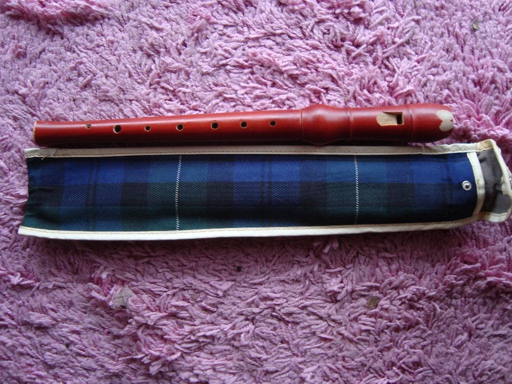 Blokfluit hout in hoes, Muziek en Instrumenten, Ophalen of Verzenden, Zo goed als nieuw, Alt, Met koffer, hoes of etui