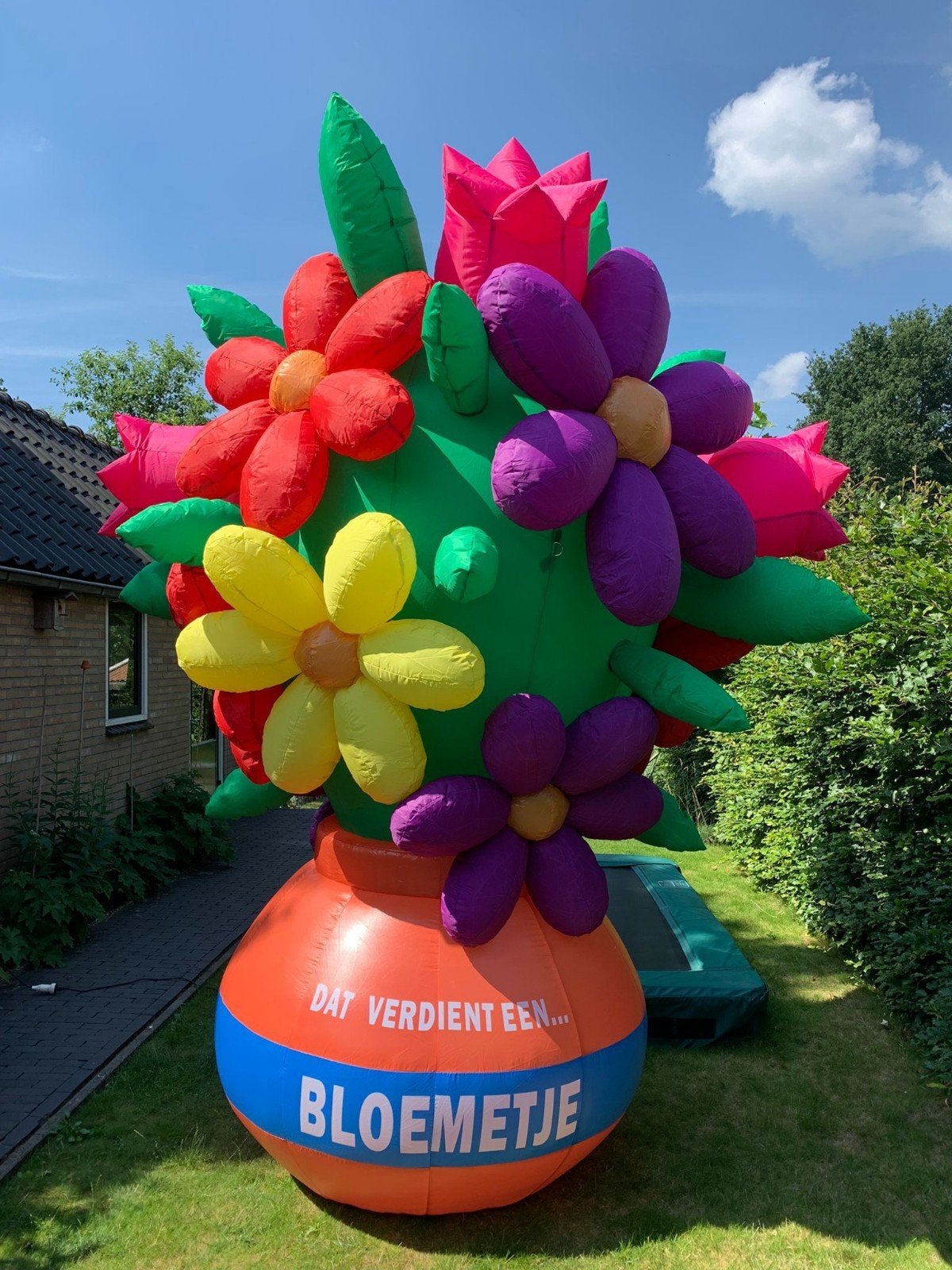 opblaasfiguren en opblaaspoppen, Hobby en Vrije tijd, Ophalen, Zo goed als nieuw, Verjaardag