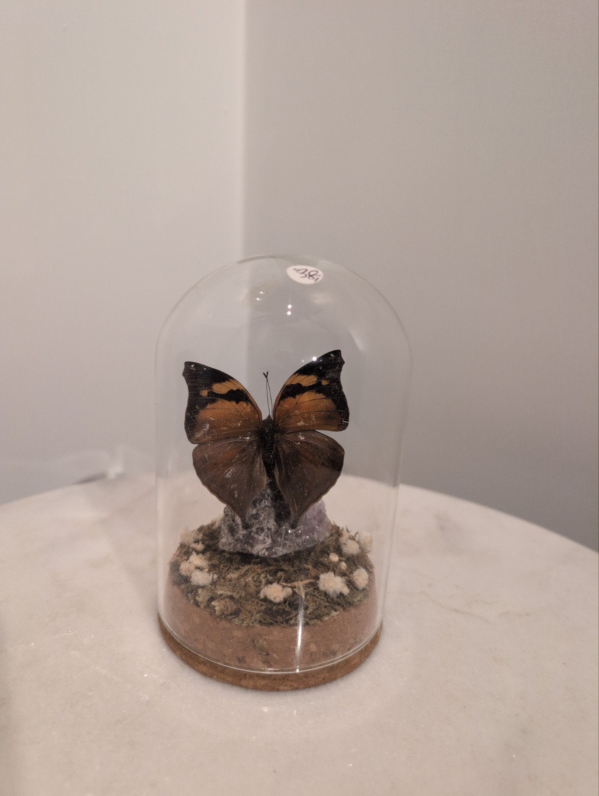 Prachtige vlinder op edelsteen in stolp, Inclusief decoratie, Onbekend@voorbeeld.com, Onbekend, Ophalen of Verzenden