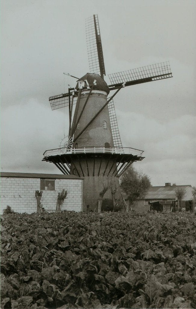 Heinkeszand = Heinkenszand molen Rijk 1972, Ophalen of Verzenden, 1960 tot 1980, Ongelopen, Zeeland