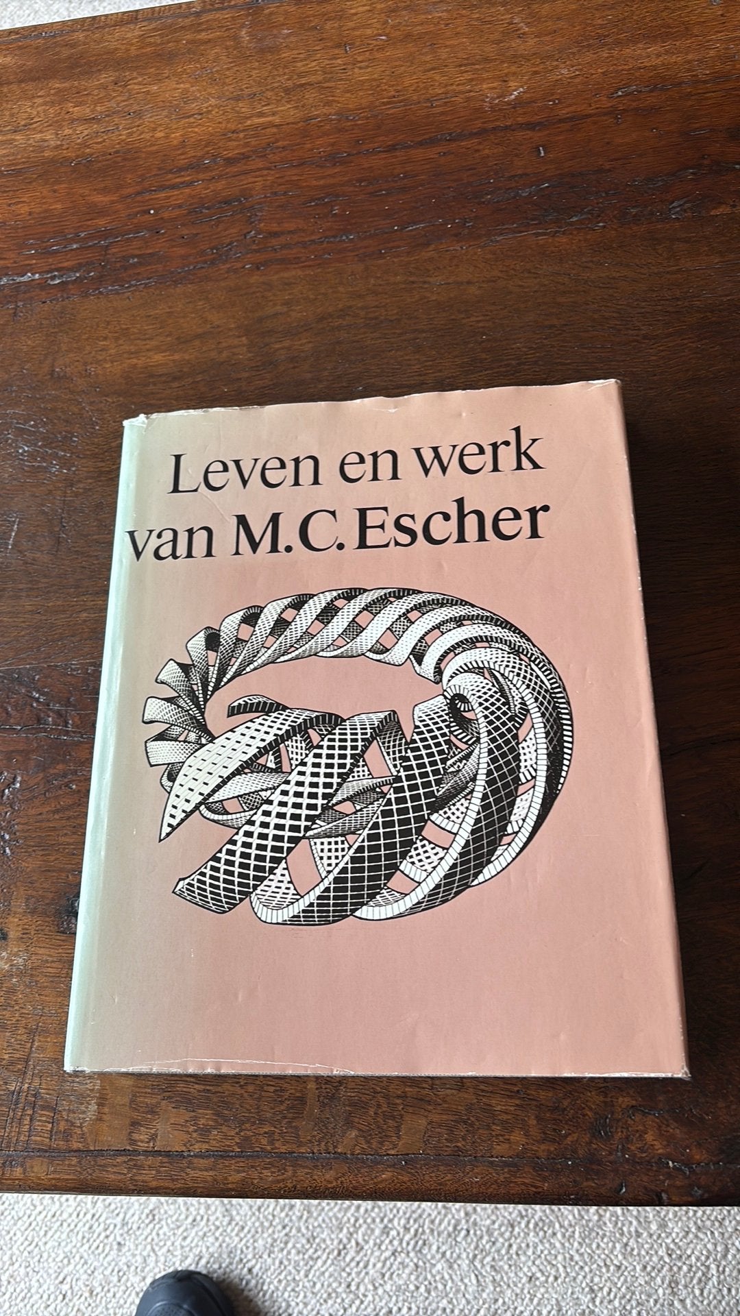 Leven en werk van M.C. Escher - Eerste druk, Ophalen of Verzenden, Gelezen, Overige onderwerpen
