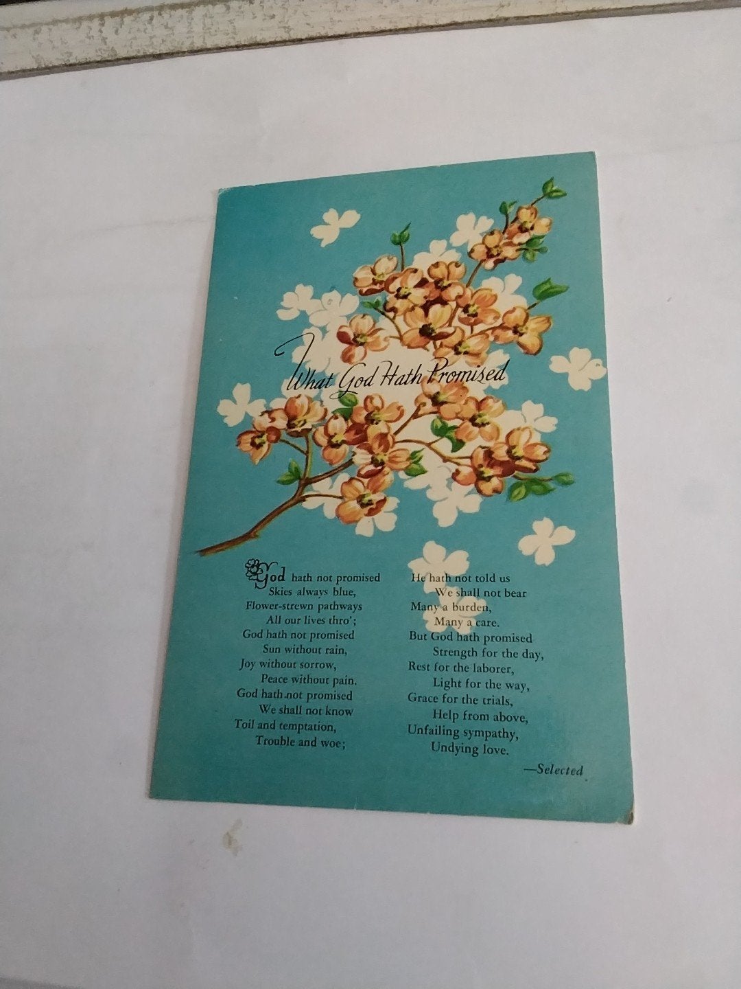 Vintage Ansichtkaart 'What God Hath Promised' - Bloemen, Verzamelen, Ophalen of Verzenden, 1940 tot 1960, Gelopen, Natuur