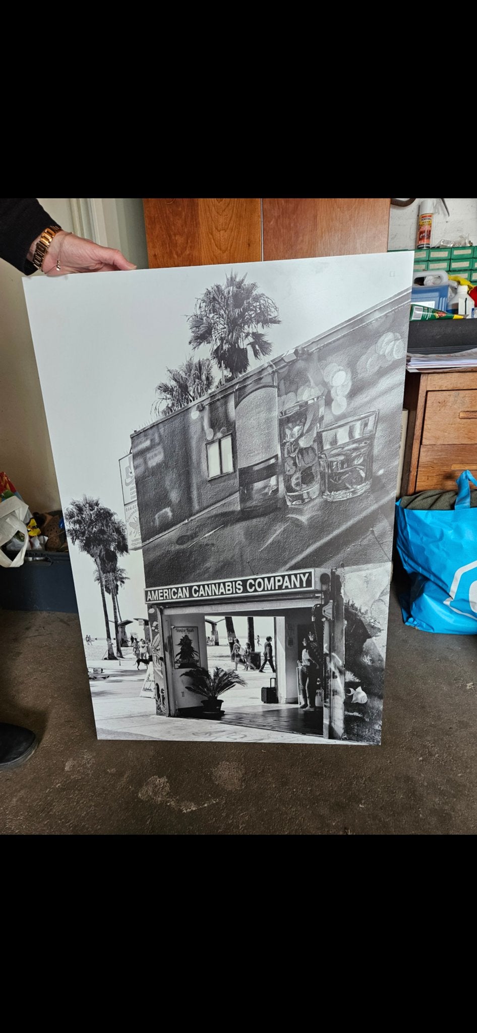 Aluminium print Black California - American Cannabis, Huis en Inrichting, Ophalen, 75 – 100, 50 tot 75 cm, Print