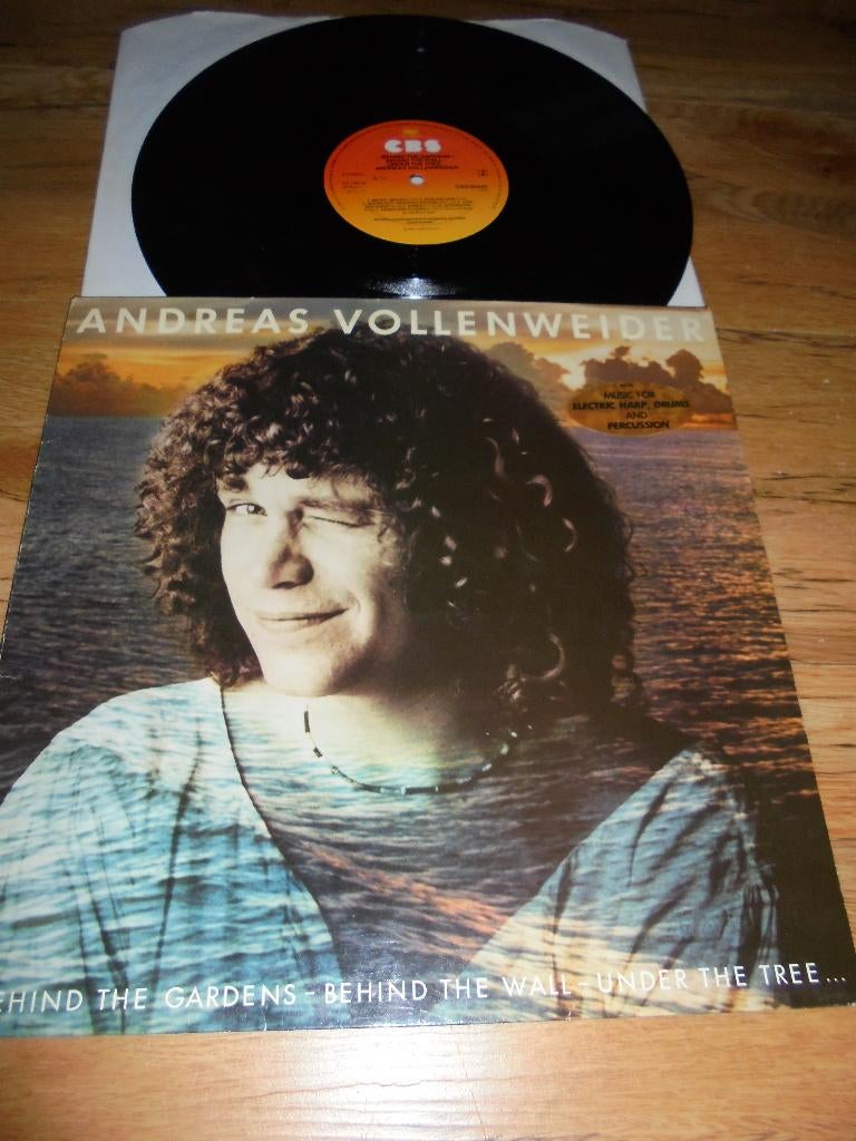 Andreas Vollenweide, Cd's en Dvd's, Vinyl | Pop, Zo goed als nieuw, 12 inch, Ophalen of Verzenden