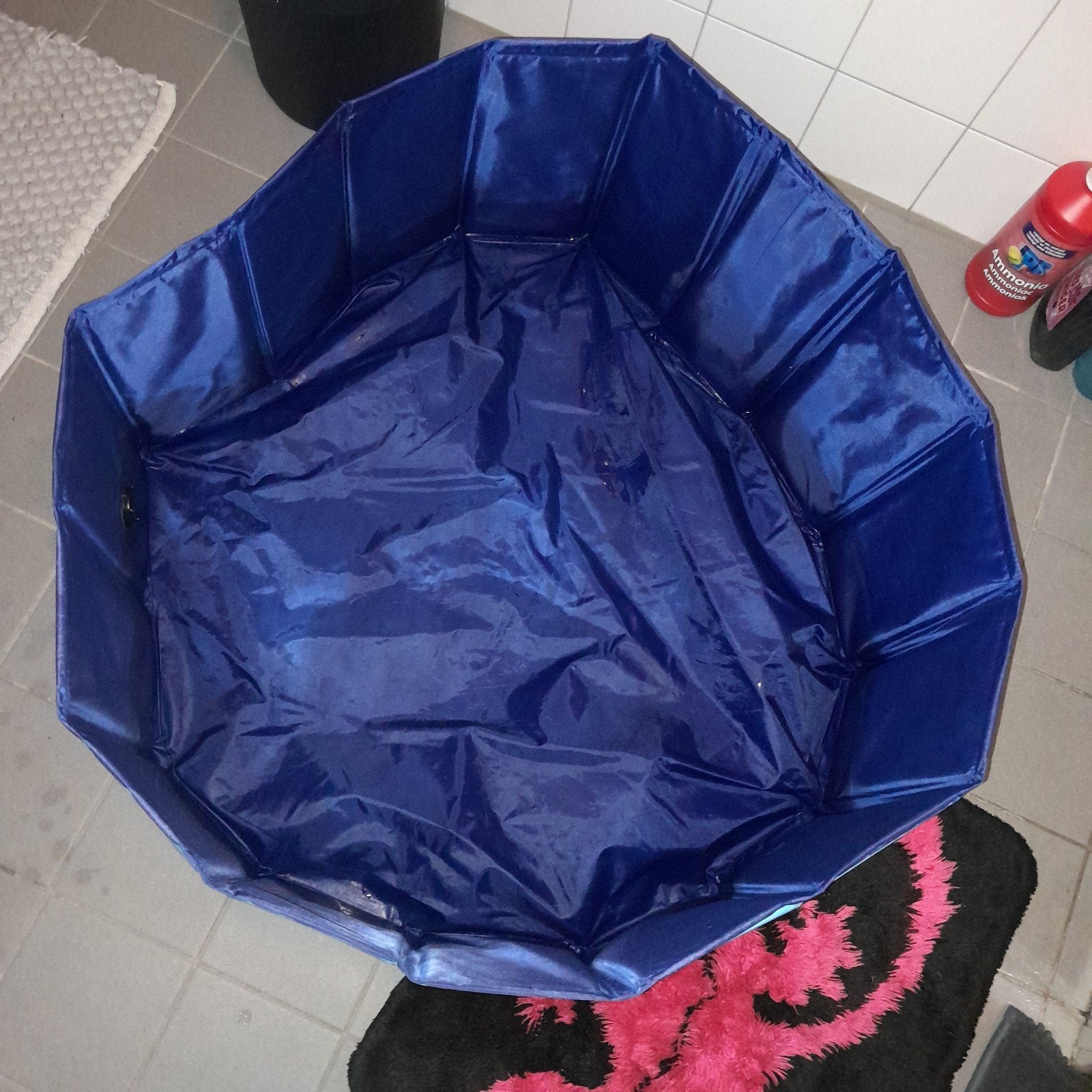 Honden zwembad voor kleine honden, Dieren en Toebehoren, Ophalen, Gebruikt, Overige typen