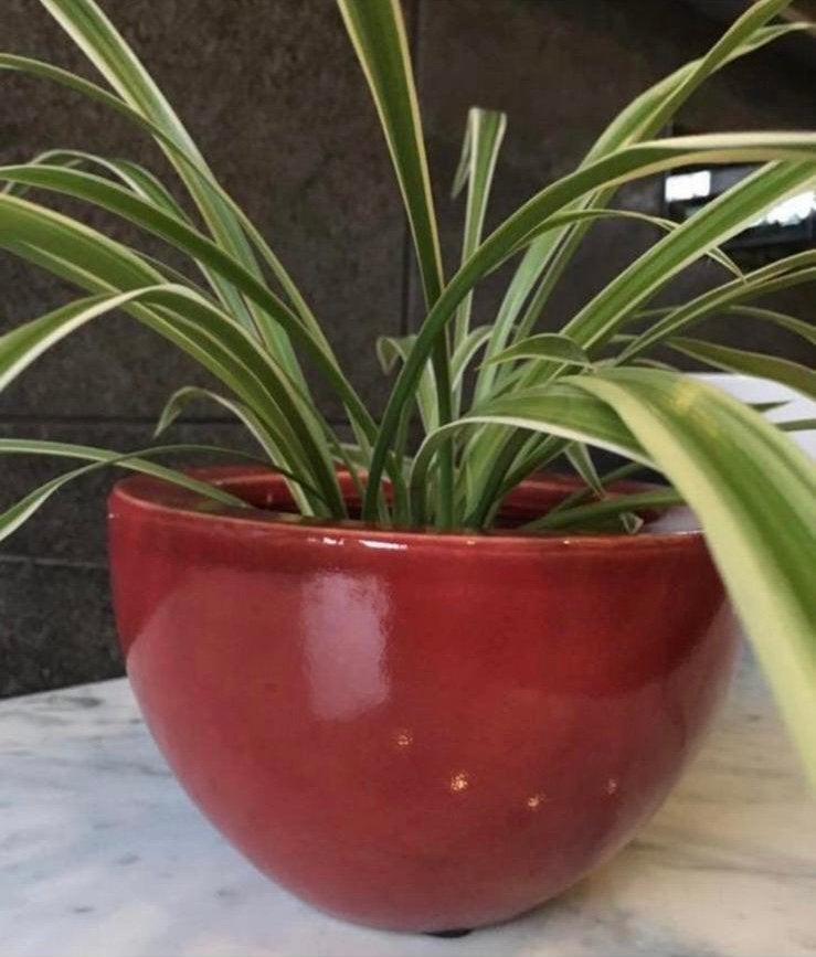 Prachtige Vintage rode dikke bol bloempot 17,3cm, Tuin en Terras, Bloempotten, Zo goed als nieuw, Terracotta, Binnen, Minder dan 40 cm