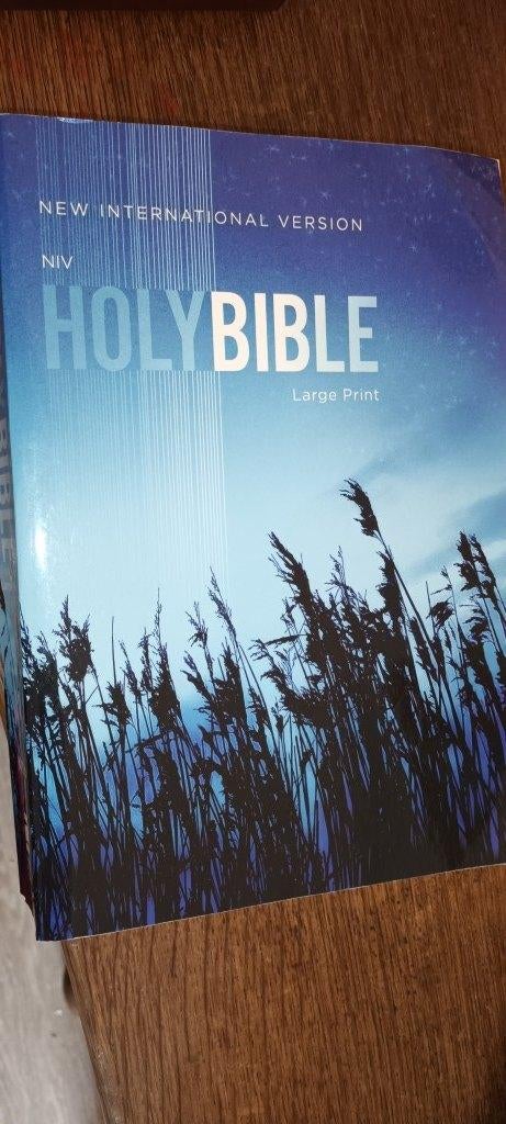 HOLY BIBLE /NIV version /(Large Print/23x16x4,2 cm), Boeken, Ophalen of Verzenden, Gelezen, Christendom | Protestants