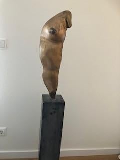kunst,  bronzen beeld geschikt voor binnen en buiten, Antiek en Kunst, Ophalen, Brons