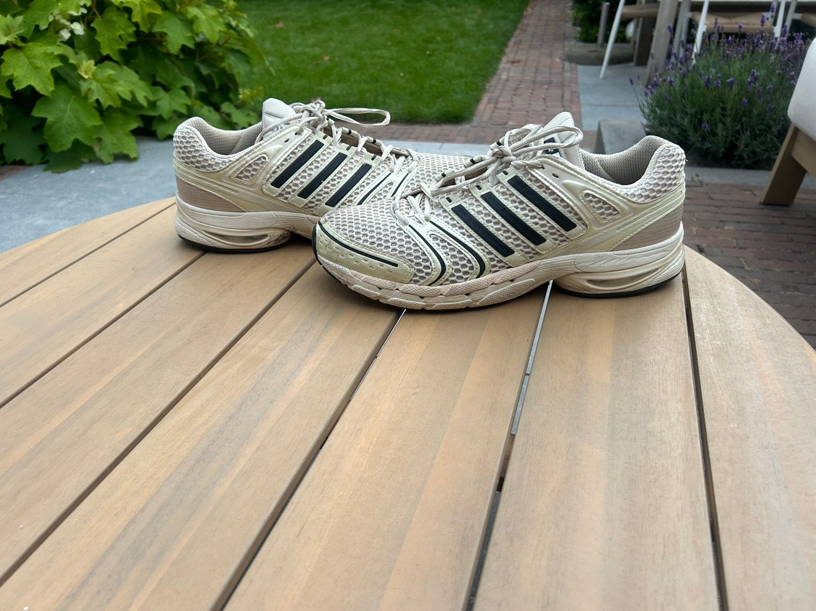 Adidas Adistar Sneakers - Maat 48 1/3, Sport en Fitness, Adidas, Gebruikt, Hardloopschoenen, Ophalen of Verzenden