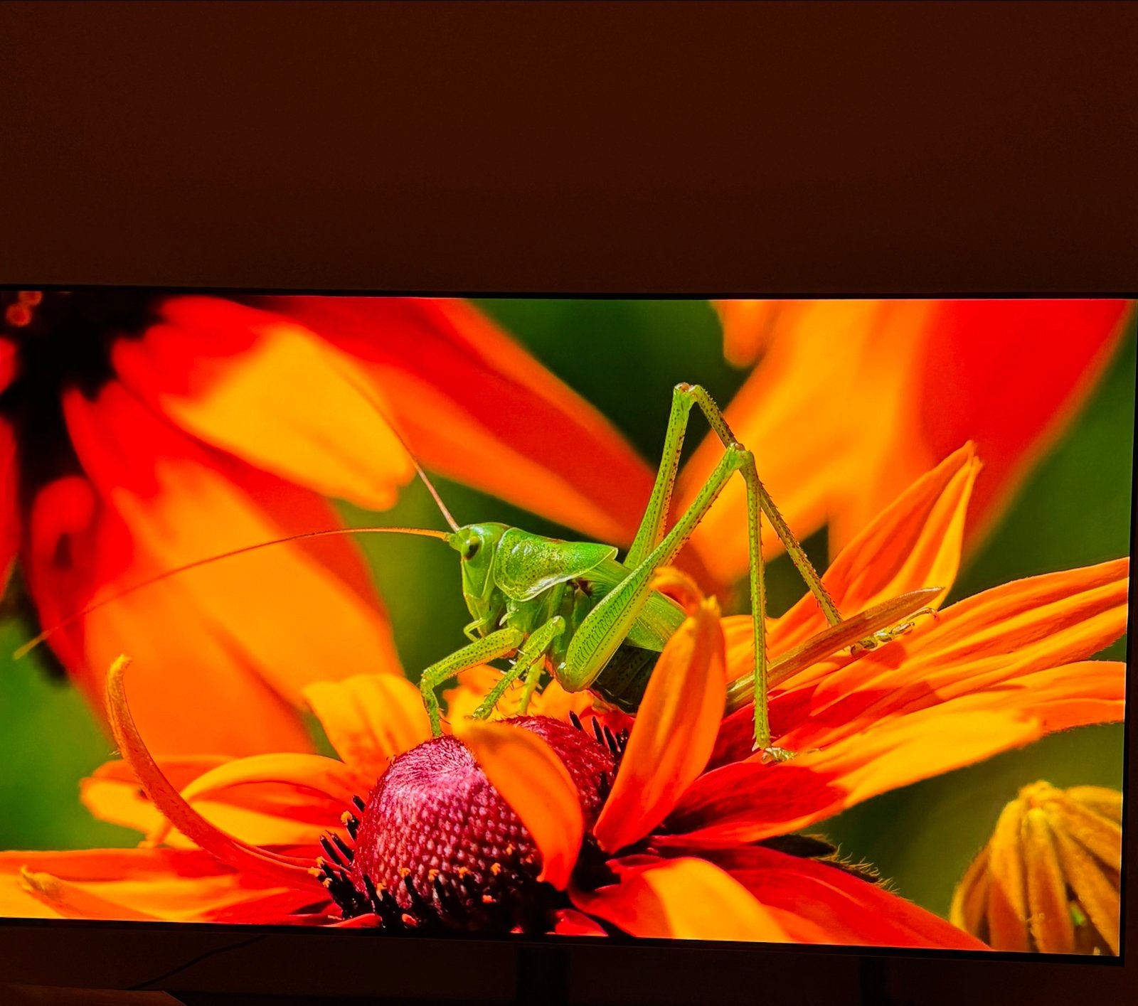 Foto 5 van LG OLED55G45LW OLED TV 2024