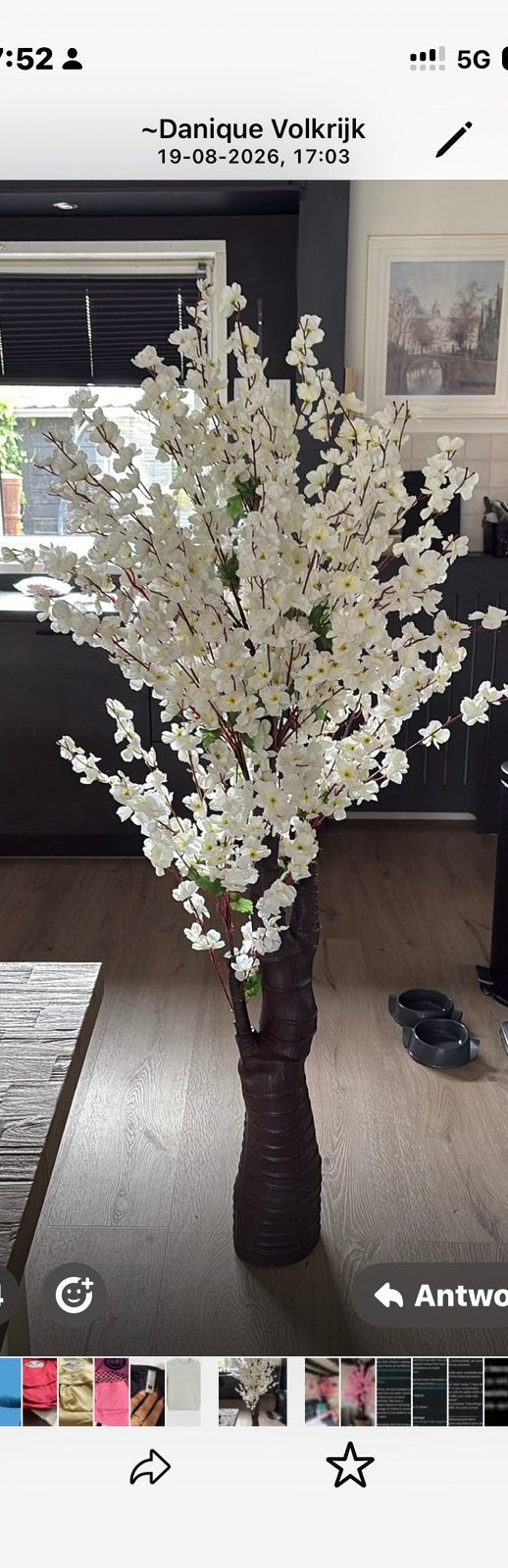Bloesem boom, Ophalen of Verzenden, Nieuw