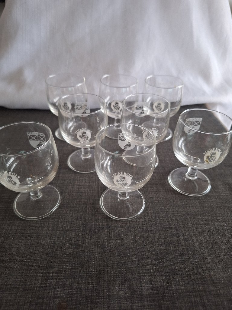 BOLS, LUCAS BOLS Bloemendaal glaasjes 8 st., Verzamelen, Glas en Borrelglaasjes, Ophalen of Verzenden, Zo goed als nieuw, Borrel- of Shotglas