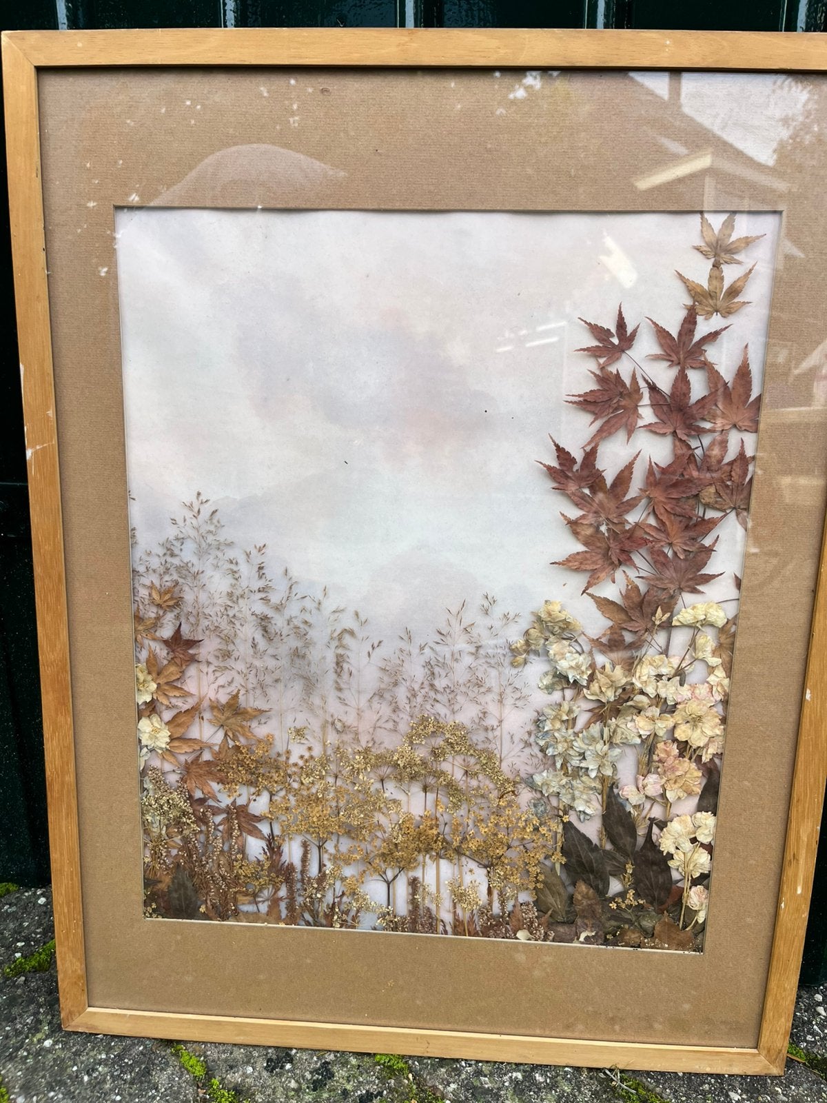 Schilderij Japanse esdoorn – Loekie Stam, Ophalen, Klassiek, Bloemen