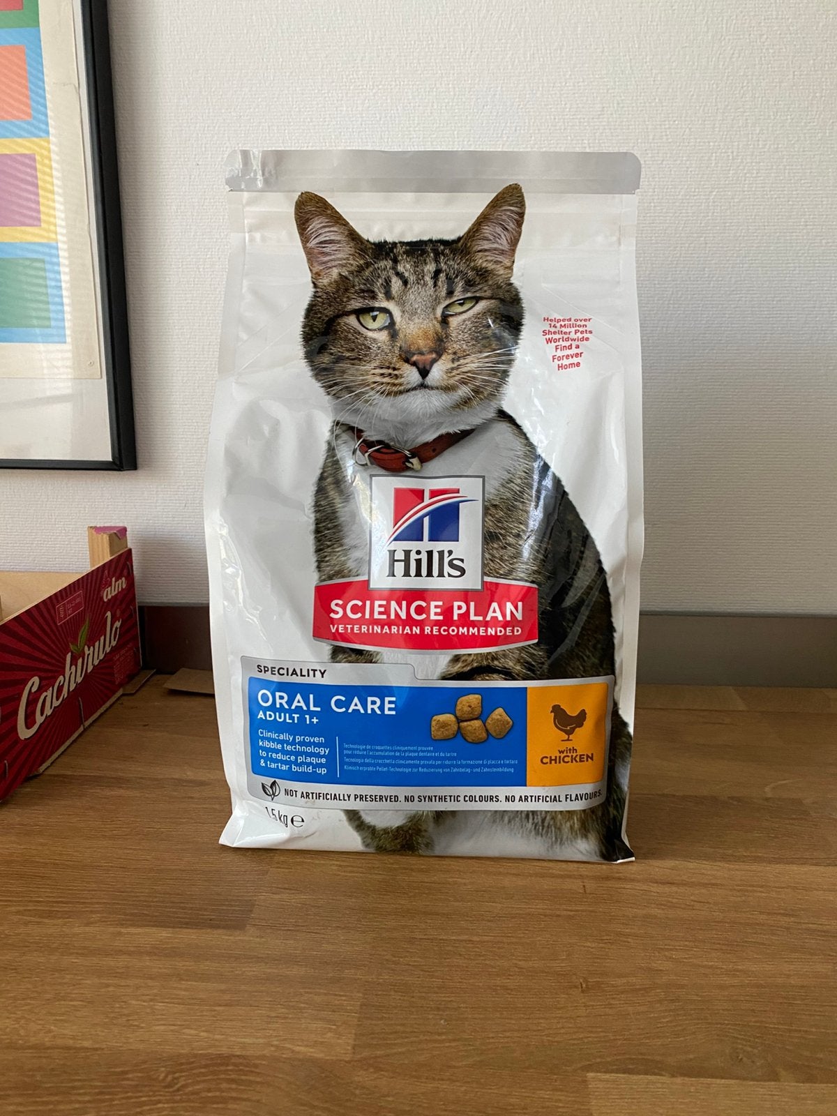 Hill’s Oral Care, ongeopend, Dieren en Toebehoren, Ophalen, Kat