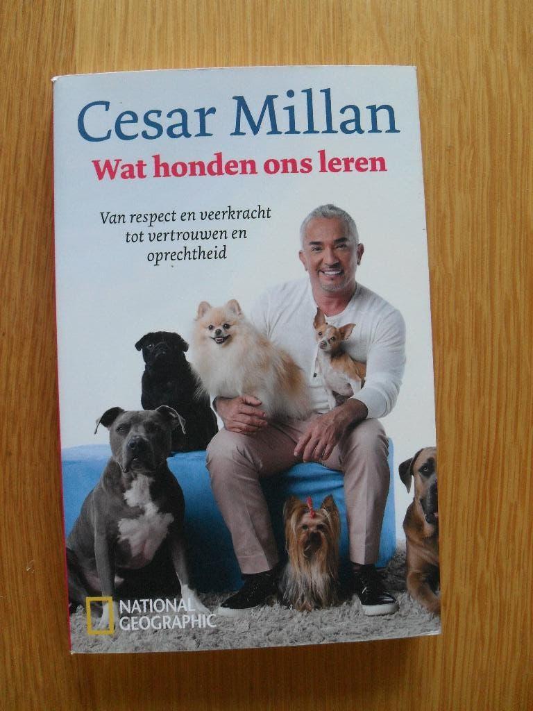 Wat honden ons leren van Cesar Millan, Ophalen of Verzenden, Gelezen, Honden