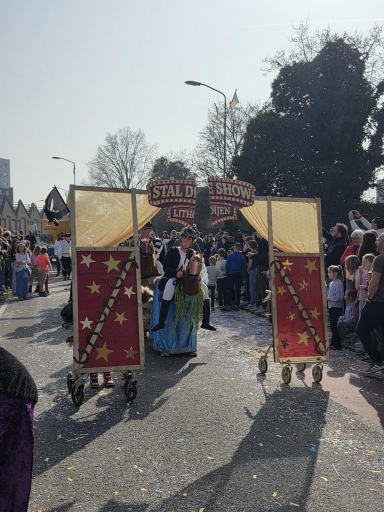 Carnavalsgroep: 6 paardenpakken, staldeuren & hobbelpaard, Ophalen