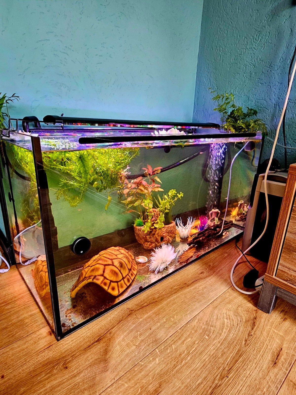GEZOCHT: Stevige tafel/kast voor Aquarium., Ophalen, Plant(en), Steen of Hout