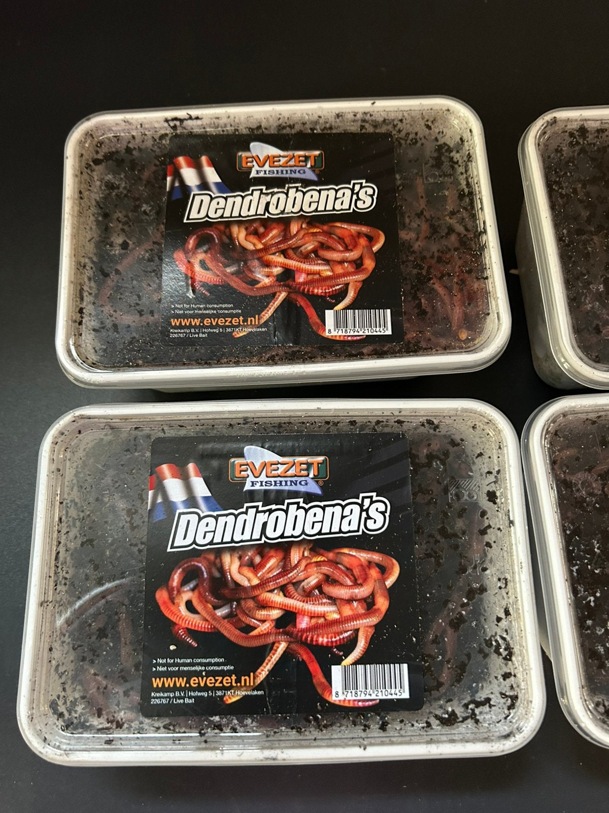 UITVERKOOP Bamibakken verse Wormen 2 voor €15, Ophalen, G, Overige typen, Nieuw