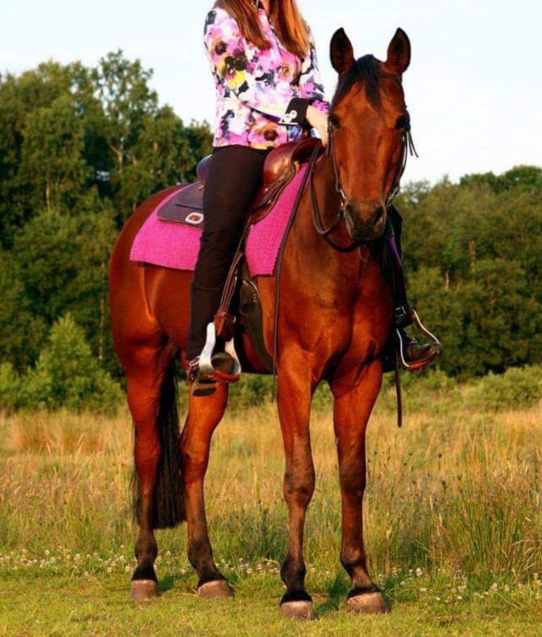 western showshirt en blanket, Ophalen of Verzenden, Zadelpad