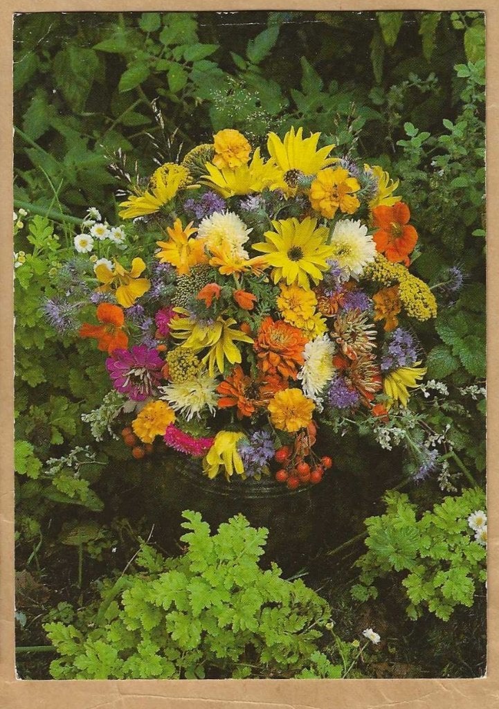 Ansichtkaart: Kleurrijk Boeket Bloemen, Ophalen of Verzenden, 1980 tot heden, Gelopen, Natuur