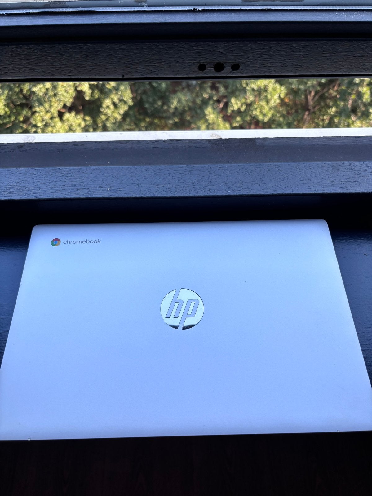 HP Chromebook 14 Intel N100 / 4 GB RAM, 14 inch, 64 GB, Ophalen of Verzenden, 4 GB of minder