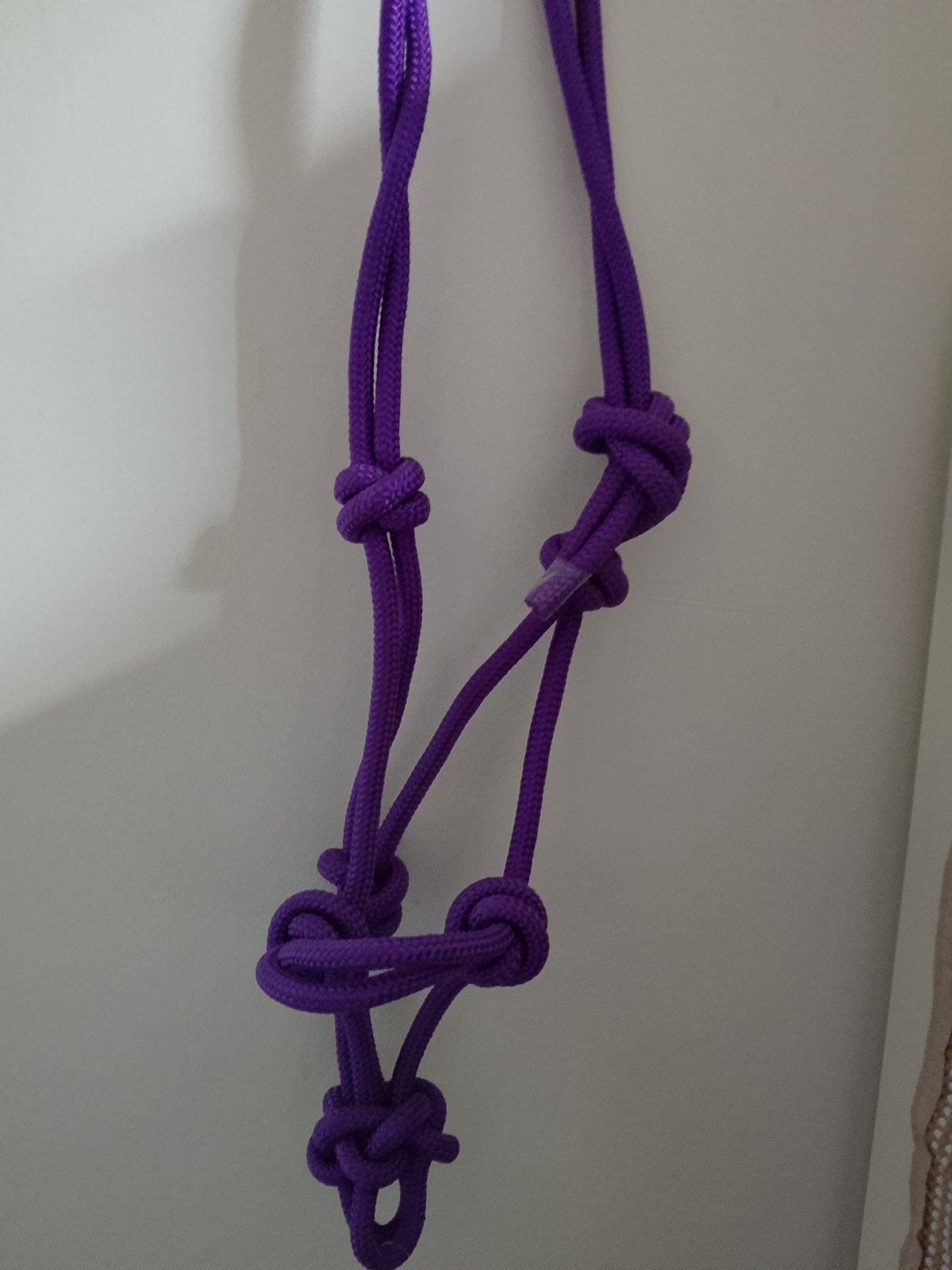 Touwhalsters mini shetlander, Ophalen of Verzenden, Nieuw