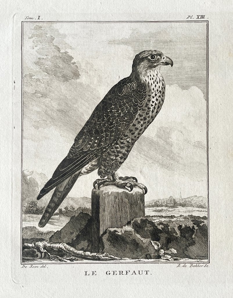 Ets 1801 du buffon in passe-partout en gratis verzending, Antiek en Kunst, Kunst | Etsen en Gravures, Ophalen of Verzenden