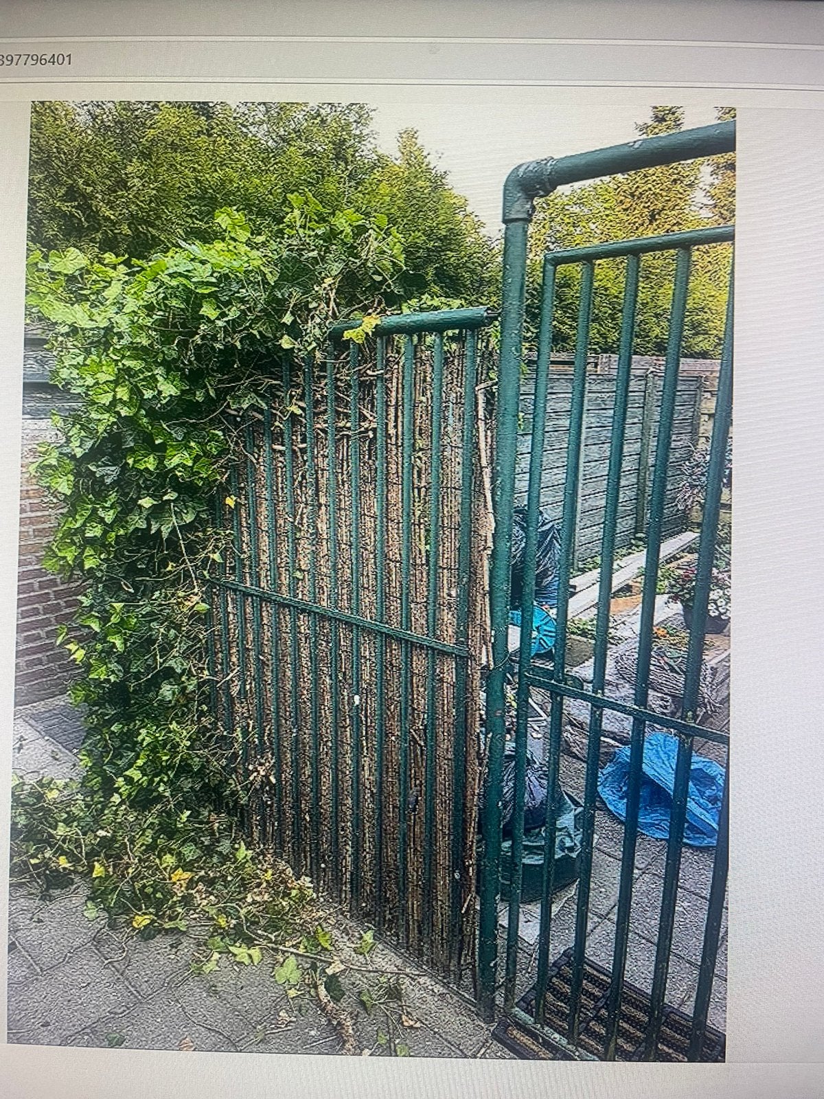 Degelijk hekwerk van steigerbuis met poort, Ophalen, Met poort, Gebruikt, Tuinhek