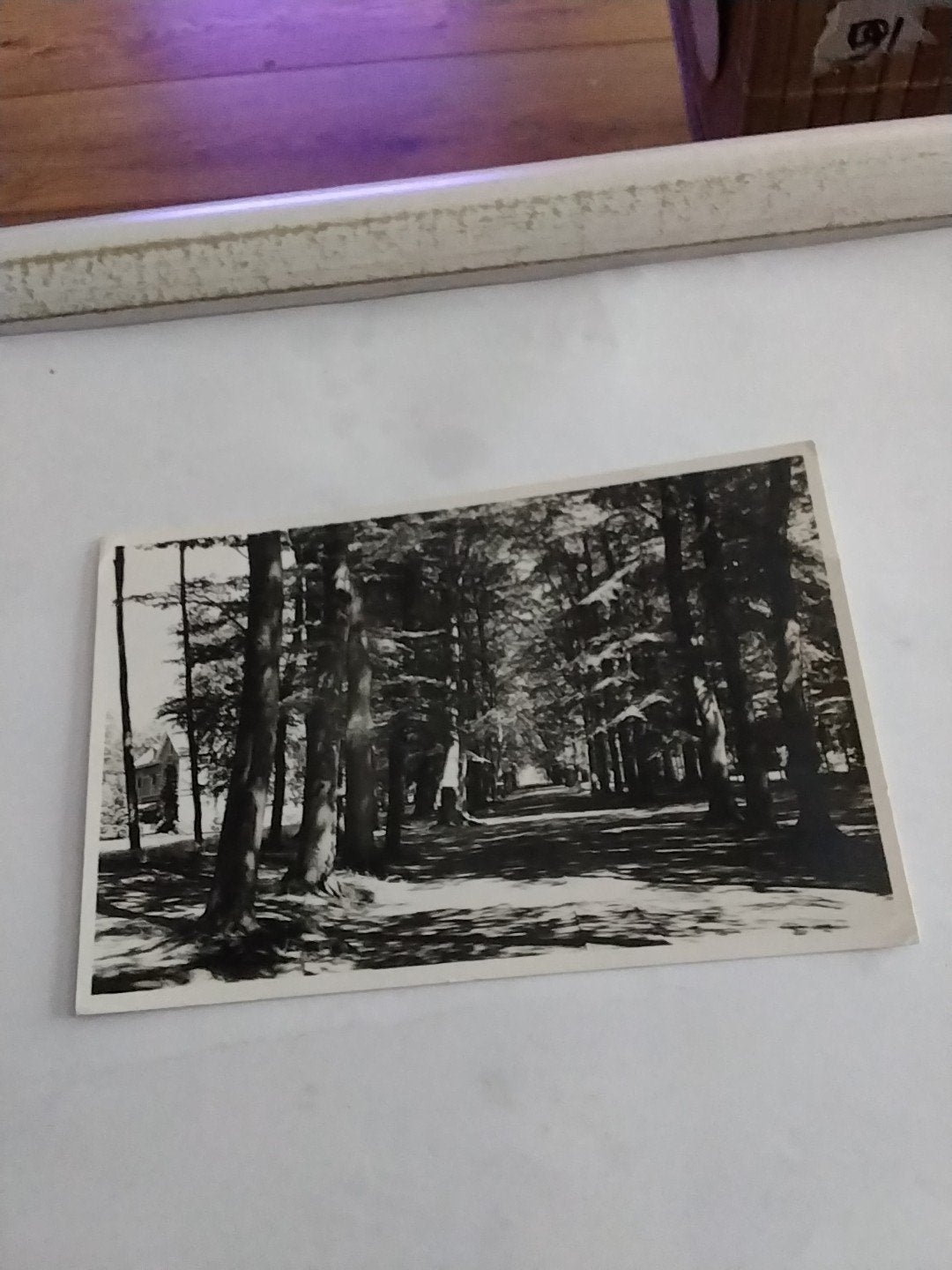 Oude ansichtkaart Huize "Veldwijk" Ermelo, 1951, Ophalen of Verzenden, 1940 tot 1960, Gelopen, Gelderland