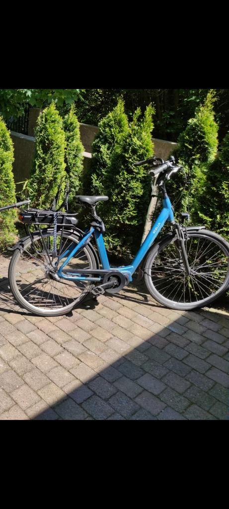 Deze Stella fiets is gestolen, in wc. De Mare te Alkmaar., Ophalen of Verzenden, Overige merken