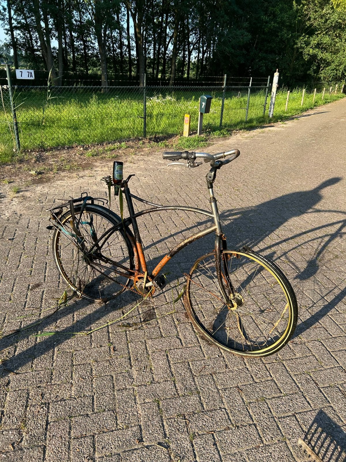 Gazelle skydrive, Overige merken, Terugtraprem, Gebruikt, Ophalen of Verzenden